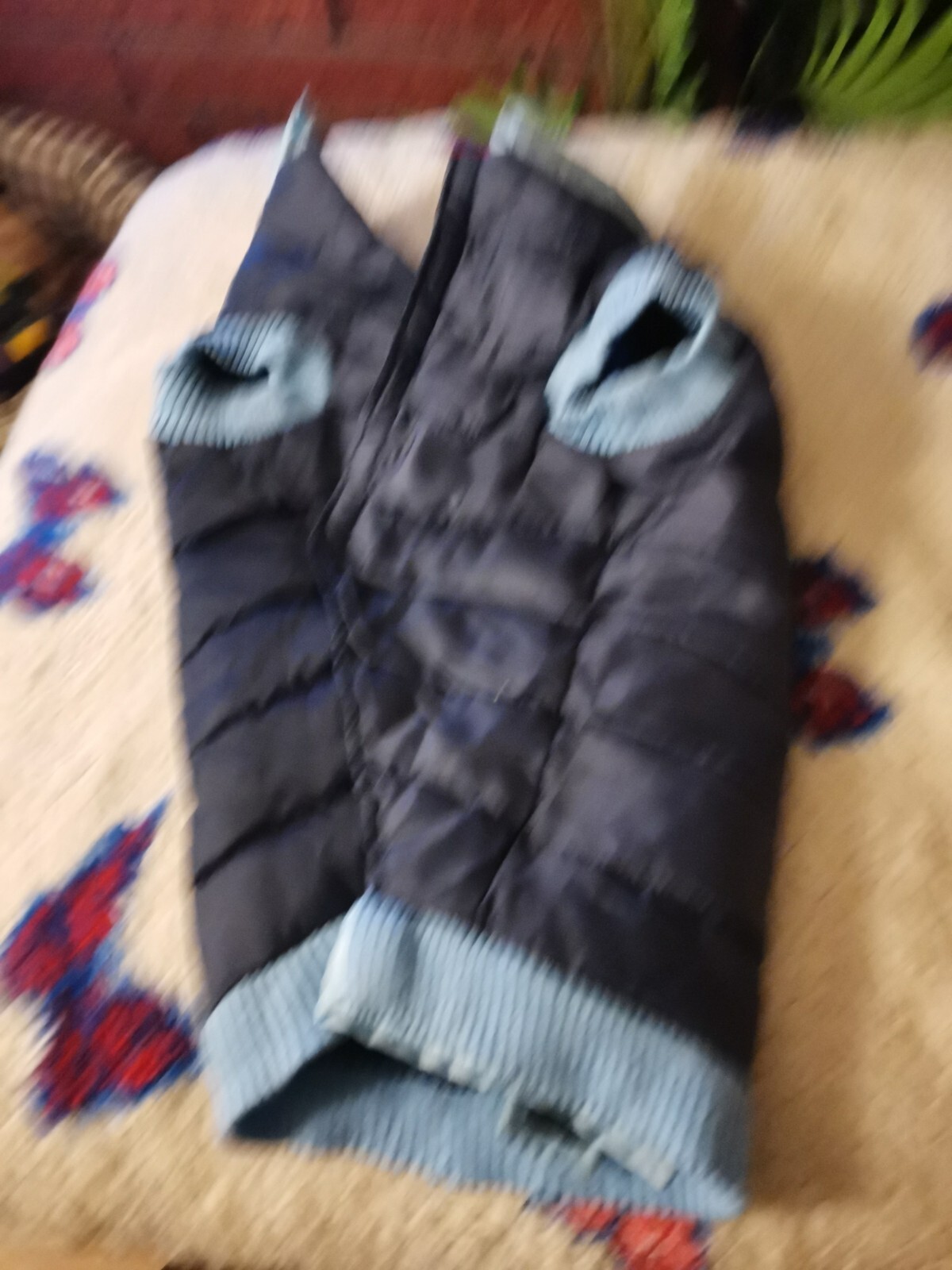 Dog Coat eBay