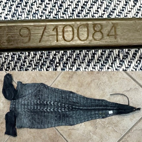 Genuine American Alligator Hide Black Hornback Tail Craft 0084-E3 - Picture 11 of 11