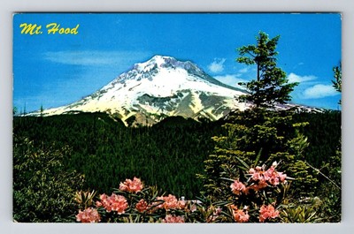 OR-Oregon, Mt. Hood, Snowy Mountain & Flowery Fields, Vintage Postcard