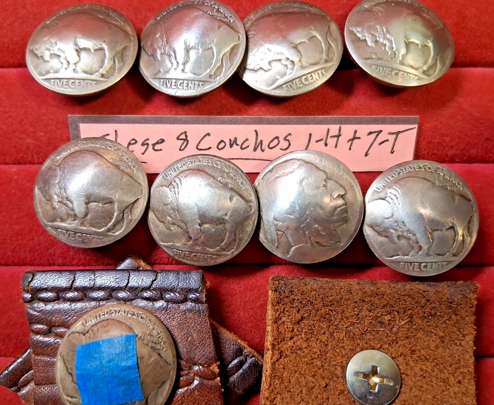 8 Genuine Old Buffalo Indian Head Nickel -Screw Back Concho Buttons Domed Coins