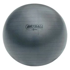 Champion Sports Brt53 Exercise Ball,Flexton Silpower,53Cm,Gray