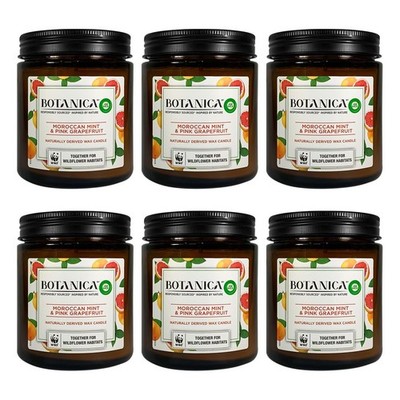 Air Wick Botanica Duftkerze Marokkanische Minze&Pink Grapefruit - 6er Pack, 205g