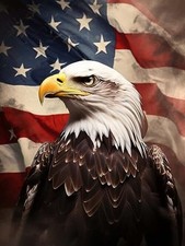 5D Eagle Diamond Painting Kits - DIY Diamond Art Kits for Adults Colorful-1