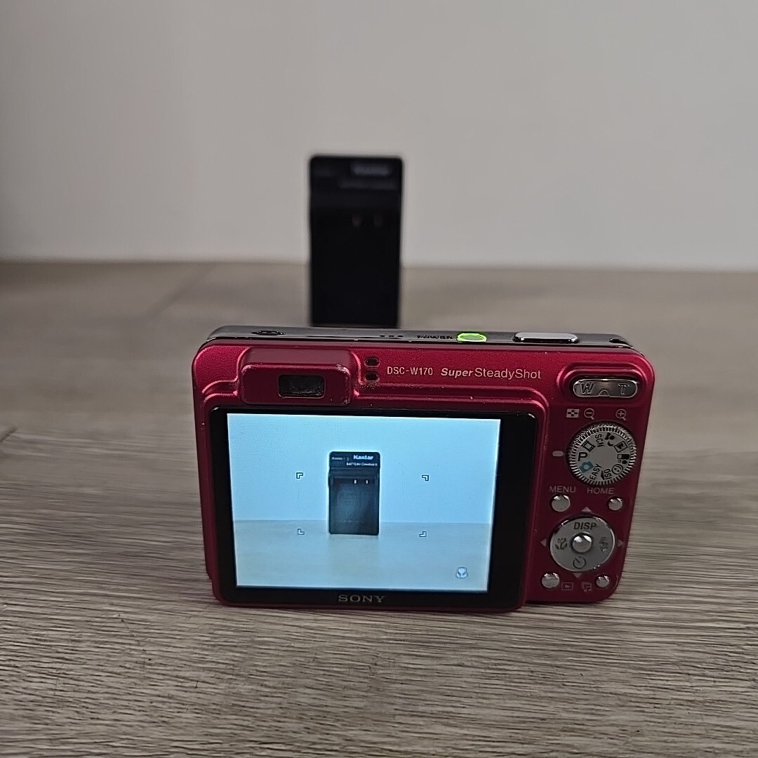 SONY DSC-W170 10.1MP 5x Zoom Digital Camera Cyber-shot W/ Battery