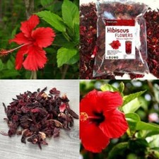 dried hibiscus flower natural srilanka 100g dry hibiscus flower herbal health 