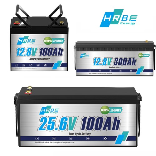 Lithium Batterie 12V 100Ah 200Ah 300Ah LiFePO4 Akku BMS 15000 Zyklen Wohnmobile