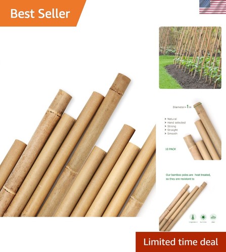 Bamboo Stakes 8 Feet Garden Supports for Tomatoes Cucumbers Vines 10 Pack