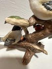 Bild 11 von 15