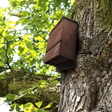 Outer Trails Bat House Outdoor Bat Habitat, Natural Cedar Wood, 3 Chamber