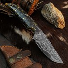 8.4 Inch Drop Point Skinner Knife Damascus Steel Hunting Full Tang Resin Handle — photo 6