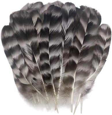 40pcs Natural Pattern Feathers 15-20cm Turkey Feather Pheasant Feathers for Craf