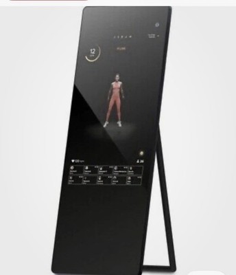 VAHA Fitness-Spiegel M5S - Top Zustand