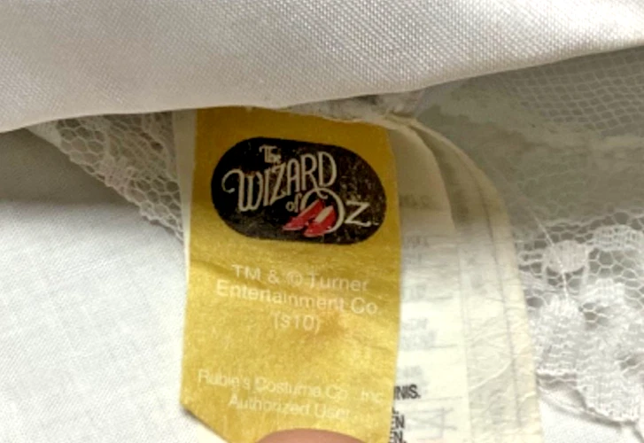 Vestido Disfraz Dorothy Mago de Oz Lentejuelas Niñas Talla Mediana 8-10 Foto 3 de 4