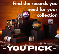 YOU PICK - Mini Brands - Really Works Vinyl - Records And Awards