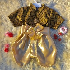 Thai Traditional Wedding Dress Cloth Skirt Top For Boy Kids Not include Jewelry  