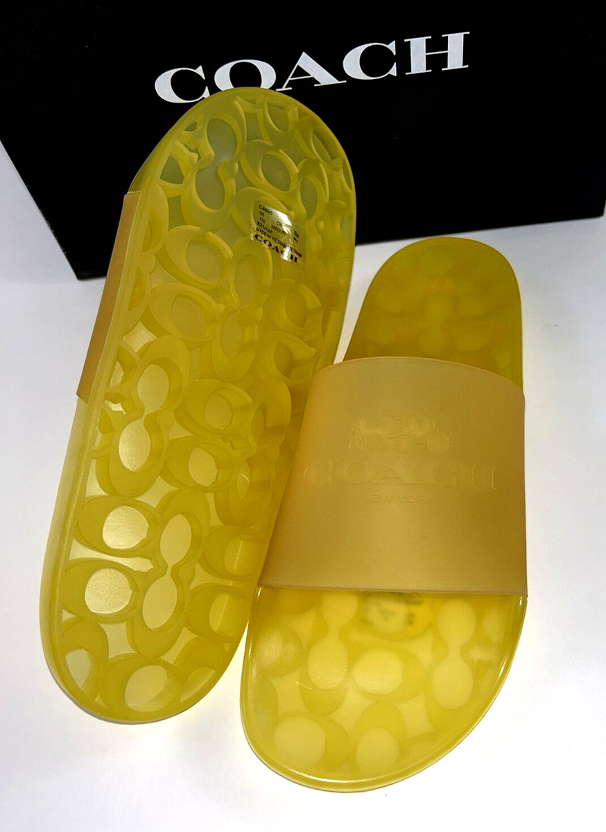 yellow coach slides