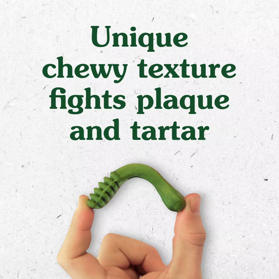 Greenies Original Petite Natural Dental Care Dog Treats, 54 Oz Box (90 Treats)