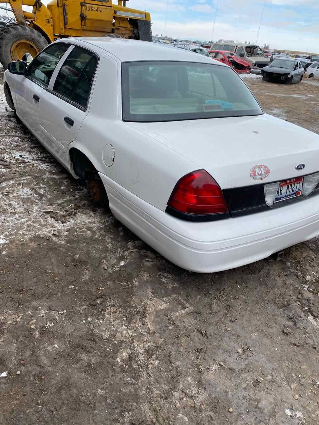 Zdjęcie 6 z 11
