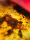 Bild 11 von 12