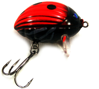 Salmo Wobbler Lil Bug Ladybird Oberflächenköder Kunstköder Raubfischköder Köder