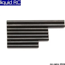 Associated 91394 Hinge Pin Set B5