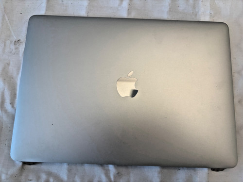 OEM Macbook Pro 13" A1989 A2251 A2159 2018 2019 2020 LCD Display SILVER 9/10