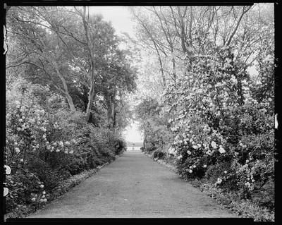 Brandon Surry VA Prince George County Virginia 1931 Garden Path Estates