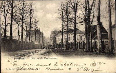 Ak Tamise Temse Temsche Ostflandern,  Kasteelstraat, Bäume, Gebäude,  - 4801768