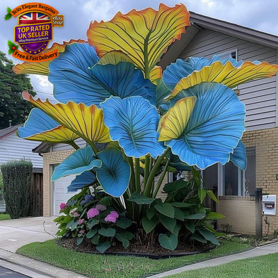 Elephant Ear Plants for Sale,Golden Jade Carving Feels Beautiful,Elephant Ear M
