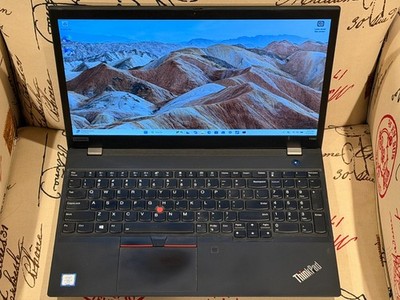 Lenovo T590 I7-8665U vPro 256GB HD 16GB DDR4 Win11Pro