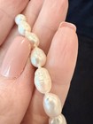 Gorgeous Fresh Water Pearl Necklace 10” Long — photo 3
