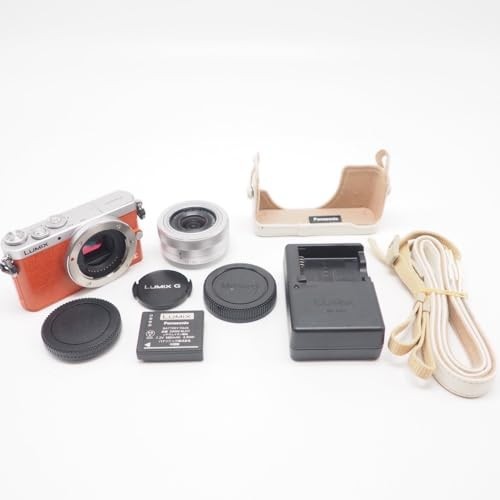 Panasonic Digital Single Lens Camera Lens Kit Standard Zoom Orange