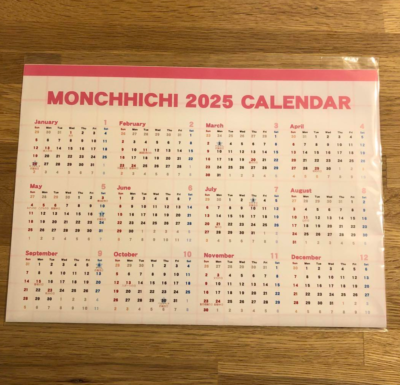 Bebichhichi Monchhichi 2025 Calendar 20th Anniversary | eBay