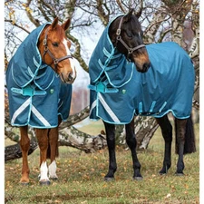 Horseware Amigo AmECO 12 Plus Turnout Medium 250g