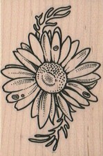 Daisy With Leaves 2 1/2 x 3 1/2" Rubber Stamp, Flower Stamp, Nature Stamp, Plant