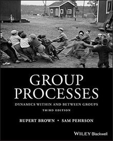 Group Processes: Dynamics within and Between Groups... | Buch | Zustand sehr gut