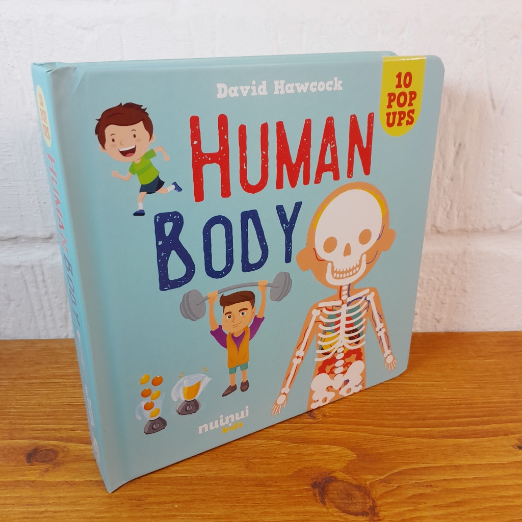Human Body Pop Up Book for Children — David Hawcock