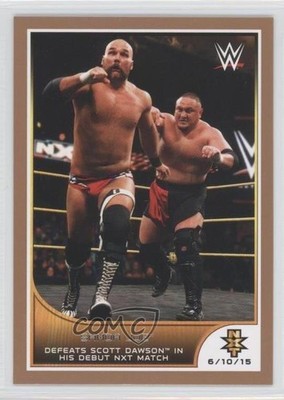 2016 WWE Road to Wrestlemania Tag Team Championship Bronze Samoa Joe Patch 4o3