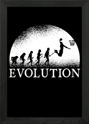 Basketball Evolution Framed Wall Art Poster Canvas Print Picture