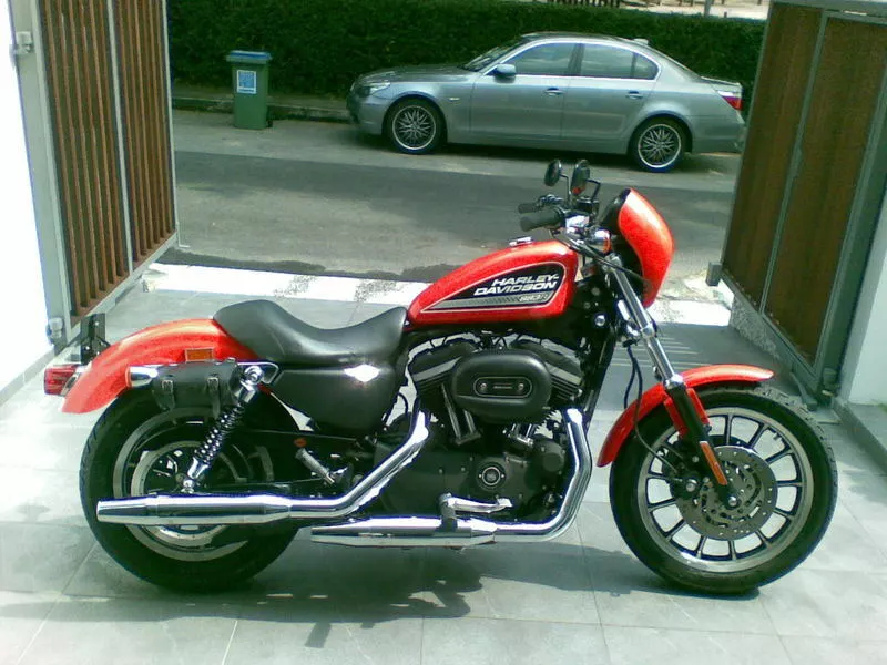 95 sportster on sale