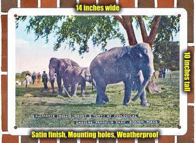 METAL SIGN - Massachusetts Postcard - Elephants (Mollie, Waddy & Tony) at Zoolo