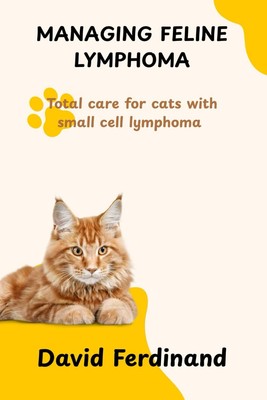 A closer look at Feline Lymphoma Fatigue Management
