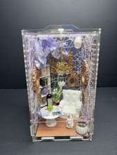 Gold and Purple wine room jumping spider enclosure with cat