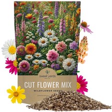Cut Flower Garden Seeds - Bulk 1/4 Pound Bag - Over 30,000 Fresh Open Pollina...