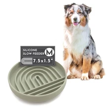 Should We Go? Slow Feeder for Dogs & Puppies, The Slowdown Bowl Silicone Slow...