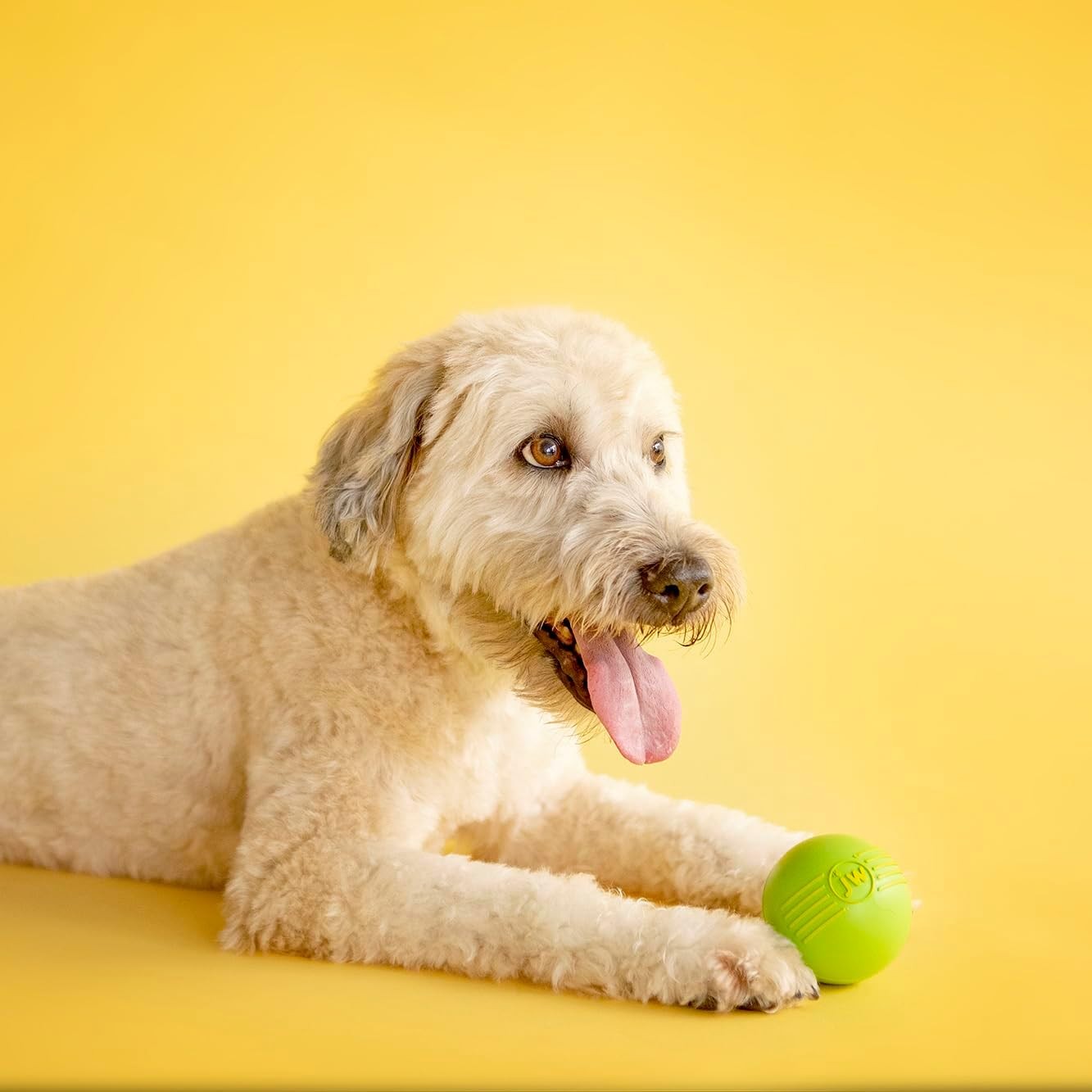 JW PET ISqueak Squeaker Dog & Puppy Fetch Chew Toy LARGE BALL 3 PACK