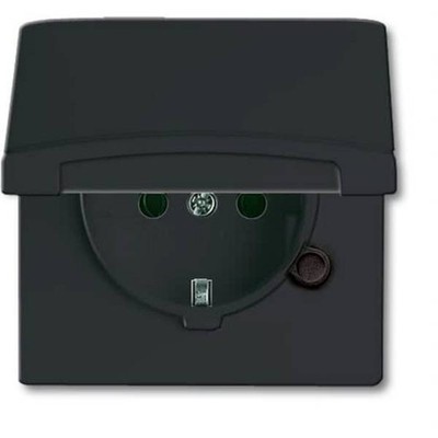 BUSCH JAEGER 2CKA002064A0290 2064-0-0290 - CEE 7/3 - 2P+E - Black - 250 V - 16