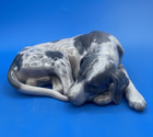 New Listing*Scarce* Dahl Jensen Denmark Porcelain Figurine Of A Pointer Dog, Model 1235