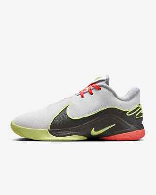 FZ1095-101 Nike LeBron 22 Crown Jewel FZ1094-101 (Men's) | eBay