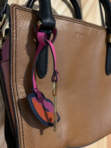 Fossil Hope Crossbody Bag Purse Colorful Brown Black Rainbow Stripes ZB7911875